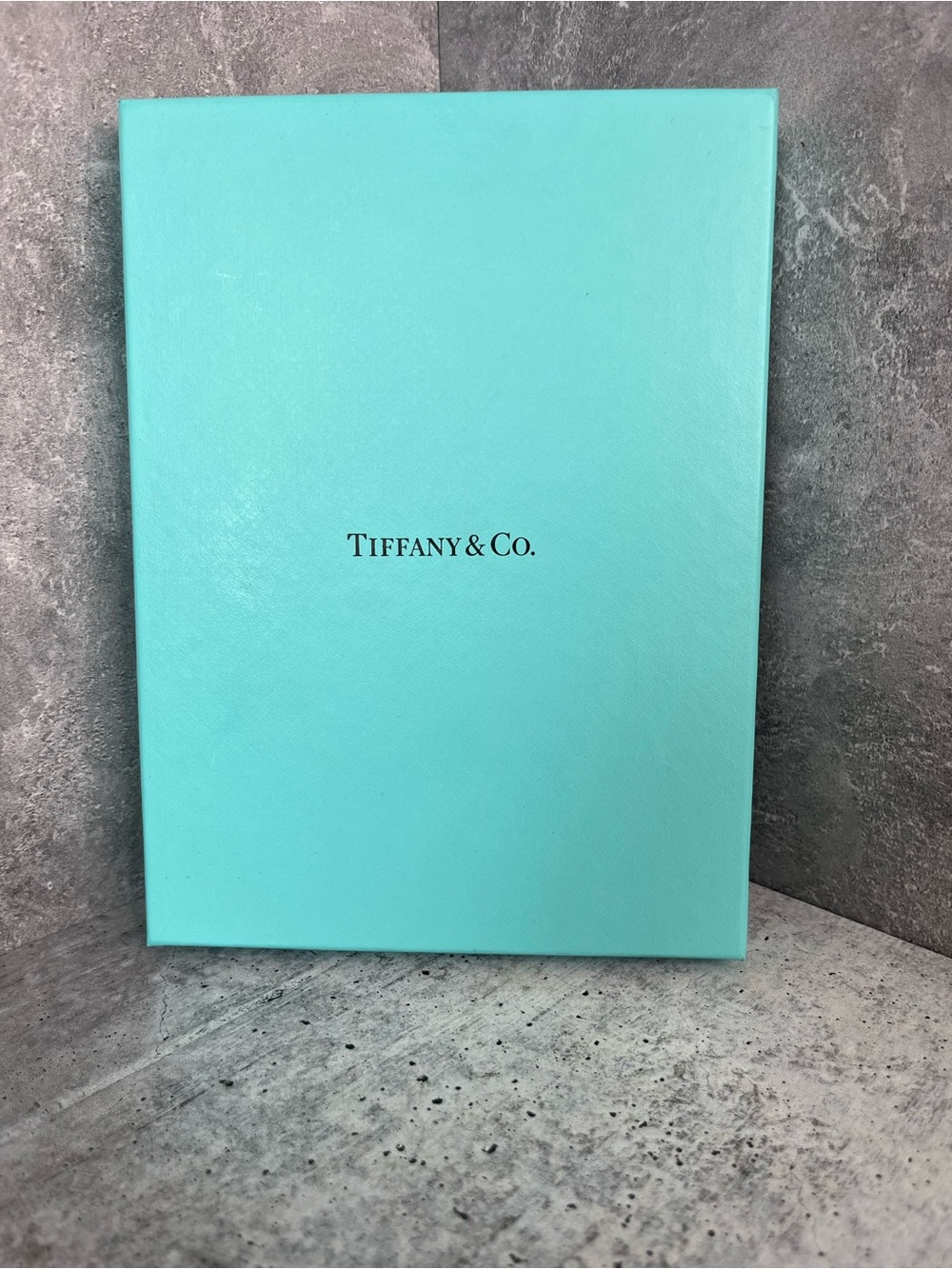 Tiffany & Co. Robin's Egg Blue Presentation Box